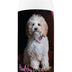Healthy Breeds Cockapoo Chamomile Soothing Dog Shampoo 8 oz
