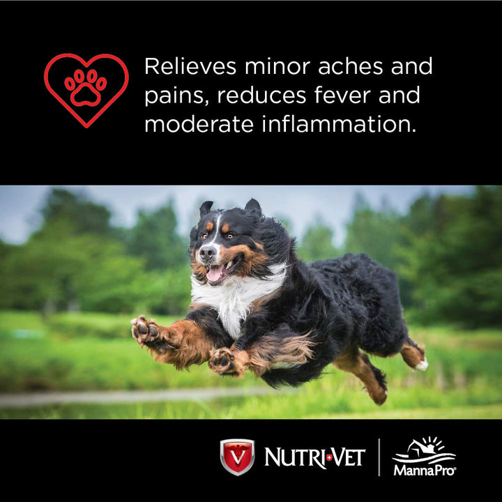 Nutri-Vet Aspirin for Dogs | Medium to Large Dogs | 300mg | 75 count 300mg for Medium & Large Dogs