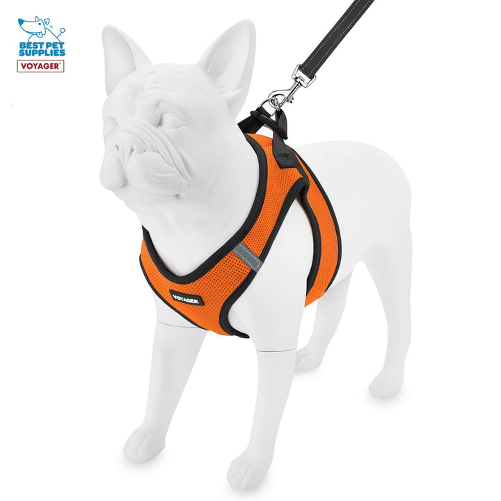 Voyager Step-in Air All Weather Mesh Harness and Reflective Dog 5 ft Leash Combo with Neoprene Handle, for Small, Medium and Large Breed Puppies by Best Pet Supplies - Orange/Black Trim, XX-Small Harness Leash Bundle (Orange/Black Trim)