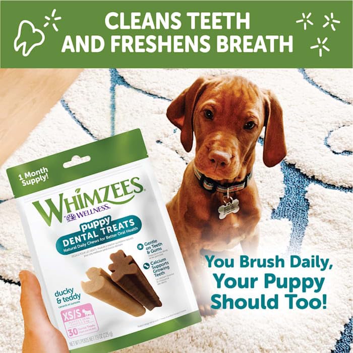 Whimzees by Wellness Dental Treats for Puppies, Natural, Grain Free, Helps to Clean Teeth, Freshen Breath, Reduce Tartar & Plaque, Longer Lasting Chew (M/L) Dental M/L 14 Count (Pack of 1)