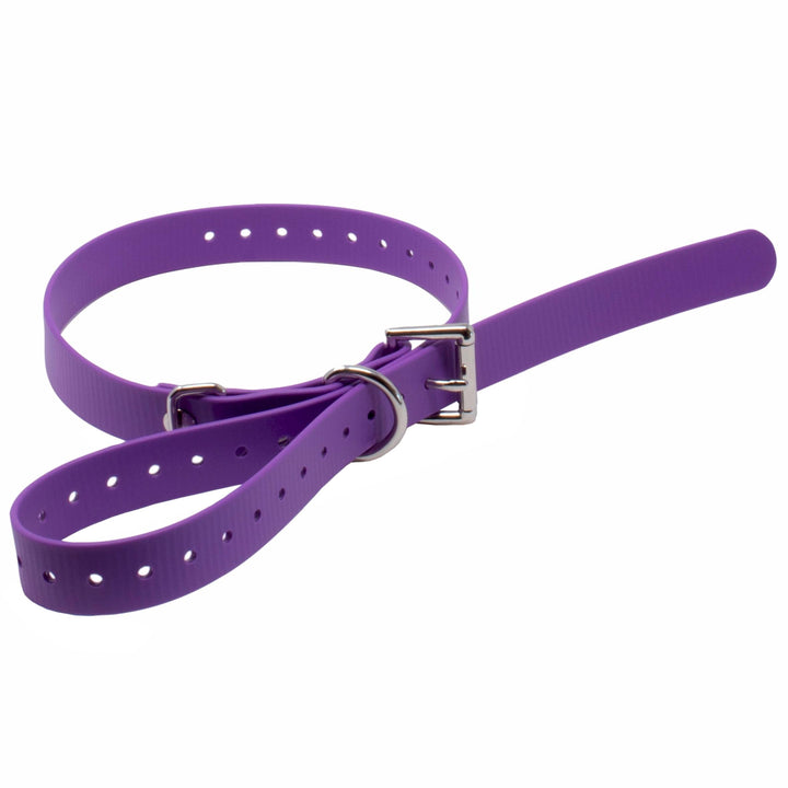 Educator Biothane Dog Collar, Waterproof, Odorproof, Metal Buckle and D Ring, Adjustable for Custom Fit, Cool and Comfortable, for Small, Medium, or Large Dogs, 3/4-Inch, Purple 3/4" Wide Fits 300, 400, 500, 900 Series