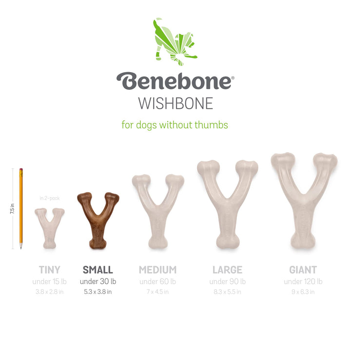 Benebone 2-pack Fishbone/Wishbone Durable Dog Chew Toys, Real Fish, Real Bacon, Made in USA, Small