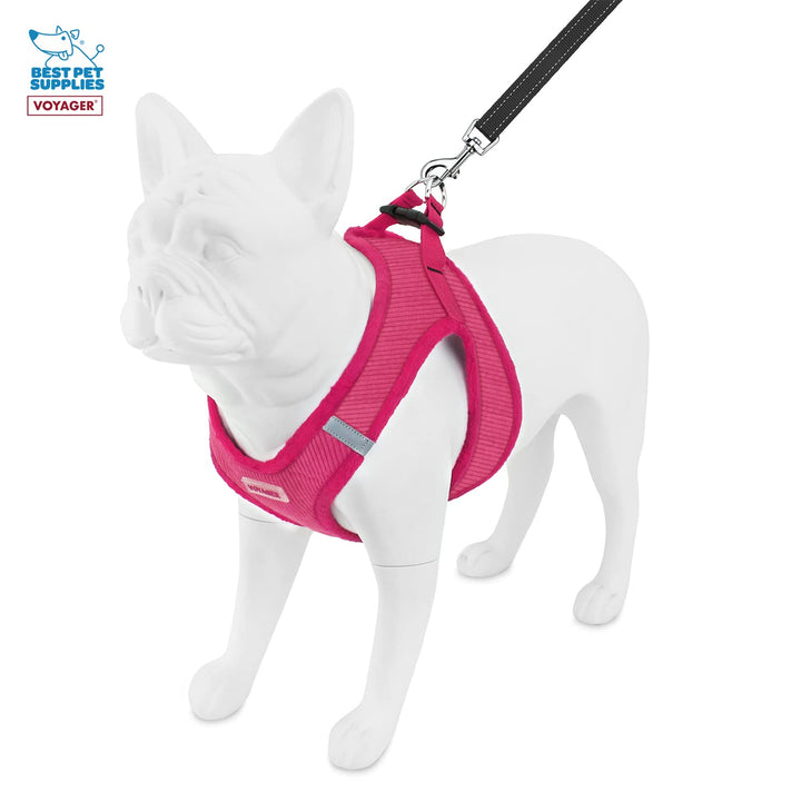 Voyager Step-in Plush Dog Harness – Soft Plush, Step in Vest Harness and Reflective Dog 5 ft Leash Combo with Neoprene Handle for Small and Medium Dogs by Best Pet Supplies -Set (Fuchsia Corduroy), L Harness Leash Set (Fuchsia Corduroy)