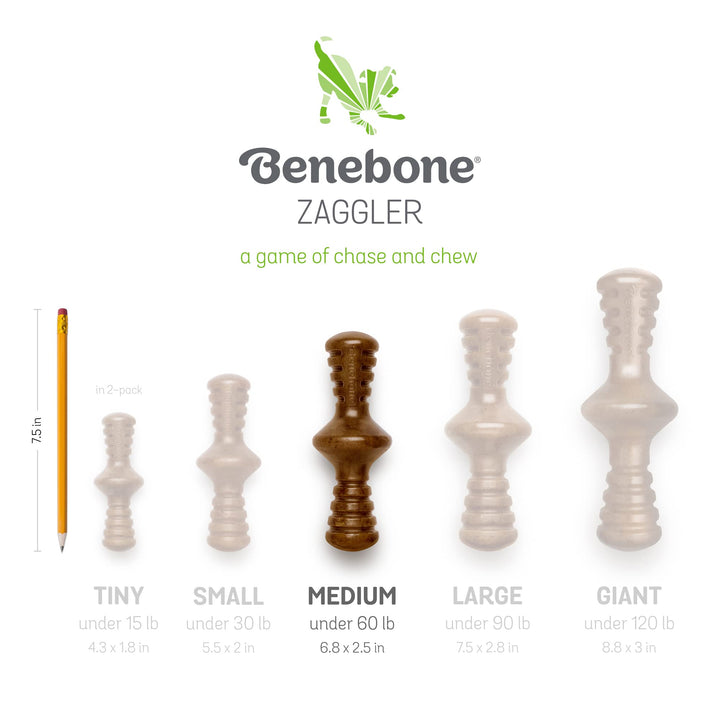 Benebone 2-Pack Maplestick/Zaggler Durable Dog Chew Toys, Real Maplewood, Real Bacon, Made in USA Medium