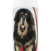 Healthy Breeds Tibetan Mastiff Deodorizing Shampoo 16 oz