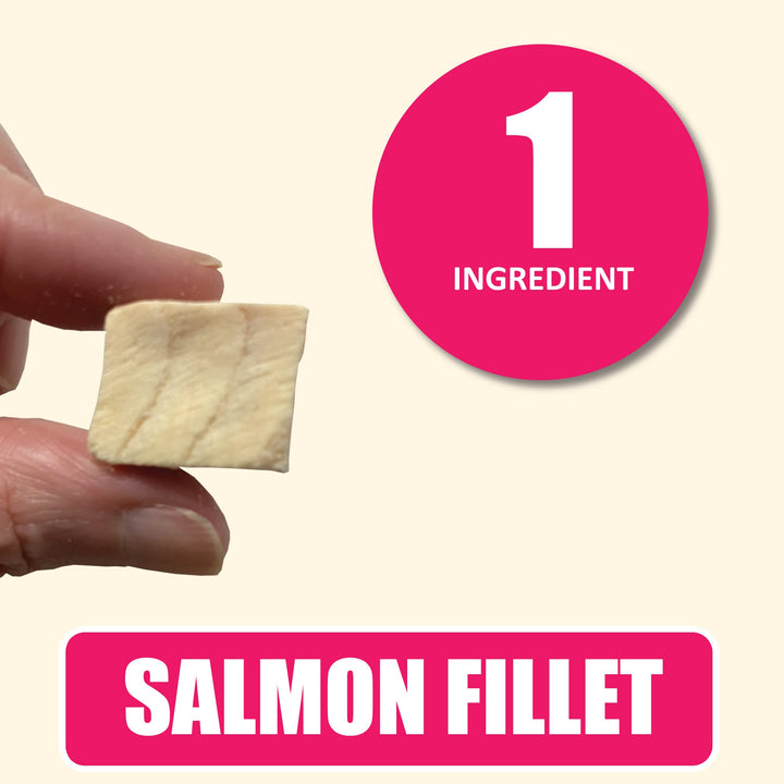 Whole Life Pet Just One Salmon - Cat Treat Or Topper - Human Grade, Freeze Dried, One Ingredient - Protein Rich, Grain Free, Made in The USA Salmon Fillet 7.5 Ounce (Pack of 1)