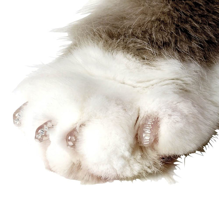 Soft Claws Safe Scratch-Free Solution for Cats - CLS (Cleat Lock System), Size: Large, Color: Clear No Color