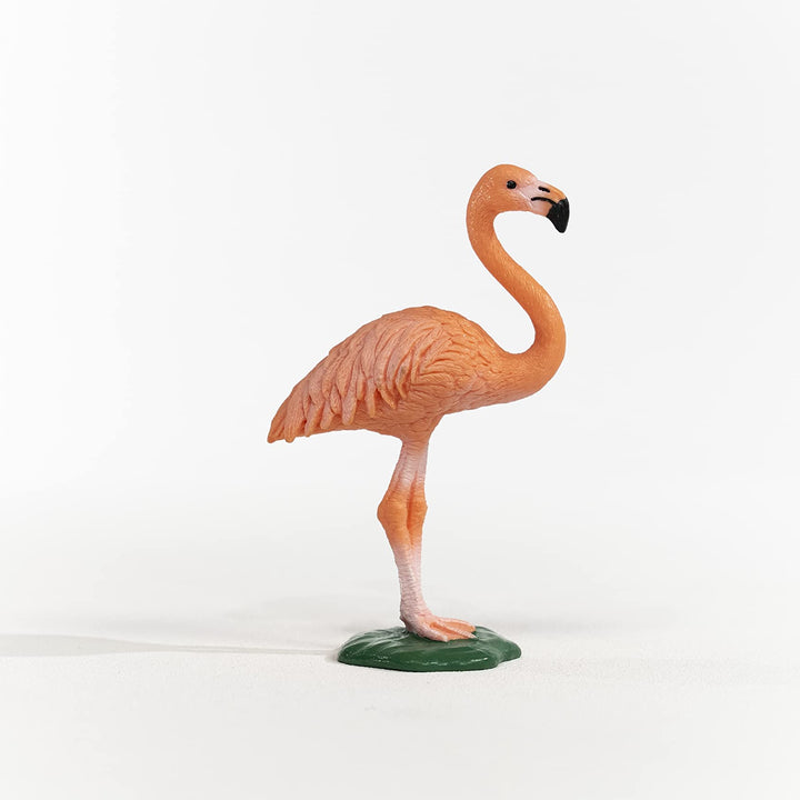 Schleich Wild Life, Bird Animal Toys for Boys and Girls 3 and Above, Pink Flamingo Toy Figurine Current Box Style