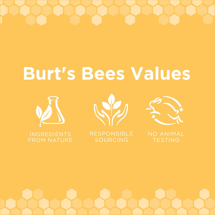 Burt's Bees for Pets Naturally Derived Waterless Shampoo Spray with Apple and Honey - Dry Dog Shampoo for All Dogs and Puppies - Cruelty Free, 10 Ounces - 6 Pack 10 Fl Oz (Pack of 6)