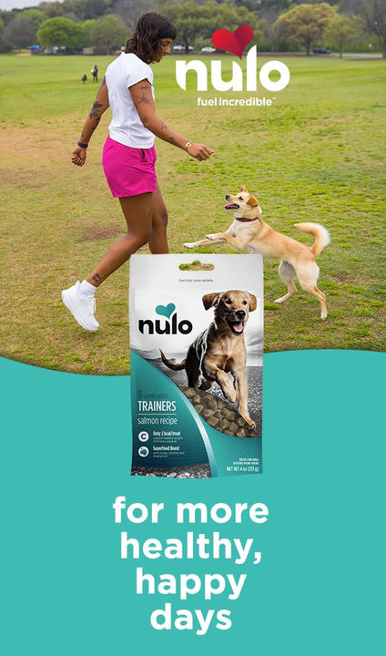 Nulo Freestyle Grain-Free Healthy Dog and Puppy Training Treats, Low Calorie Treats Made with Superfood Boost Ingredients, 2 Calories per Treat Salmon 1 Pound (Pack of 1)