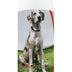 Healthy Breeds Great Dane Tearless Puppy Dog Shampoo 16 oz