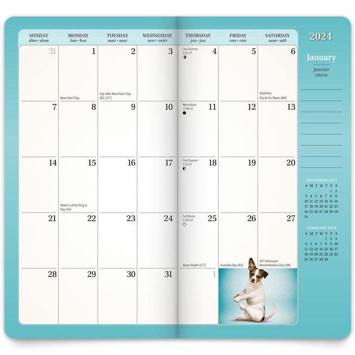 Yoga Puppies OFFICIAL | 2024-2025 3.5 x 6.5 Inch Two Year Monthly Pocket Planner | BrownTrout | Animals Humor Puppy Canine Pets