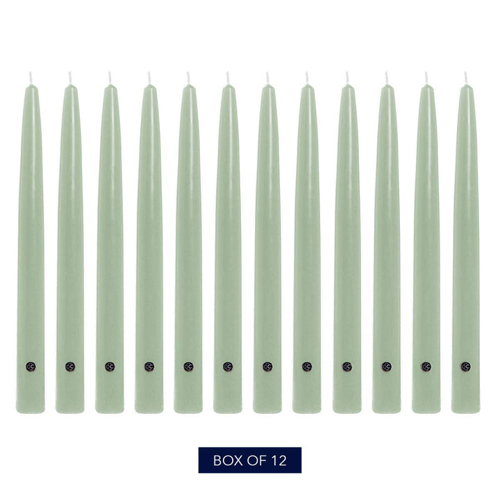 Colonial Candle Unscented Taper Candle, Handipt Collection, Limoncello, 12 in, Pack of 12 - Up to 10 Hours Burn