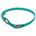 Educator Quick Snap Bungee Dog Collar, Biothane, Waterproof, Odorproof, Easy Connect and Disconnect Clasp and D Ring with Comfort Bungee Loop, Adjustable for Custom Fit, 3/4-Inch, Teal 3/4" Wide Fits 300, 400, 500, 900 Series