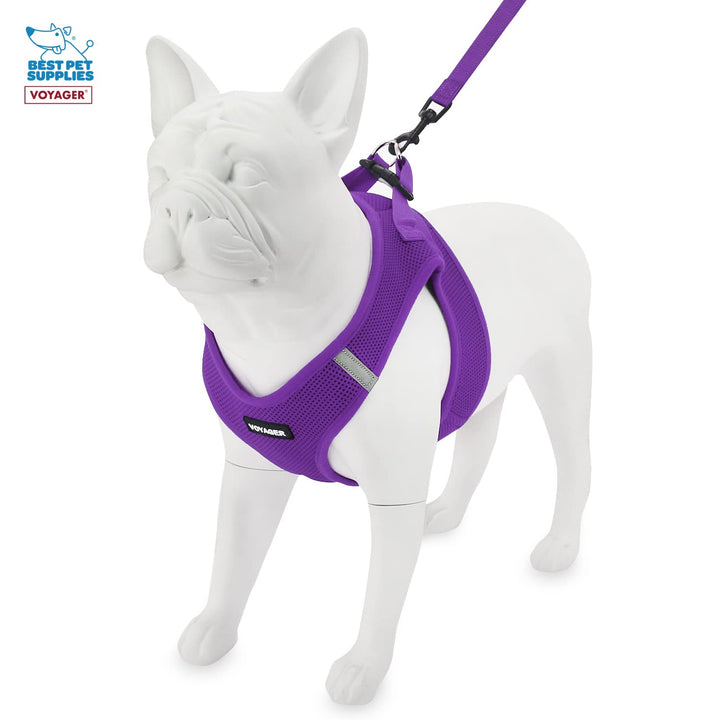 Voyager Step-in Air All Weather Mesh Harness and Reflective Dog 5 ft Leash Combo with Neoprene Handle, for Small, Medium and Large Breed Puppies by Best Pet Supplies - Set (Purple), L Harness Leash Set (Purple) L (Chest: 18 - 20.5")