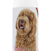 Healthy Breeds Labradoodle Chamomile Soothing Dog Shampoo 8 oz