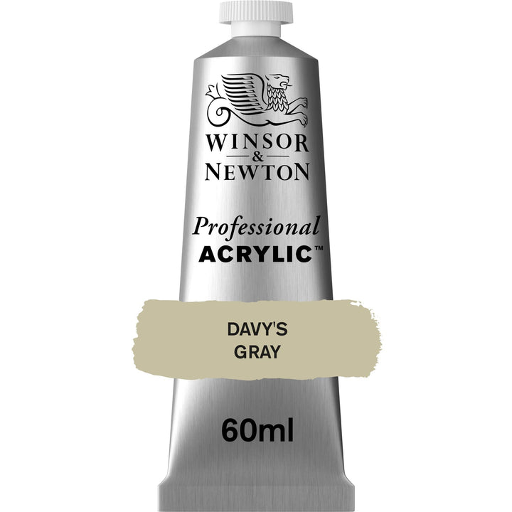 Winsor & Newton Professional Acrylic Paint, 60ml (2-oz) Tube, Davy's Gray 2-oz Tube