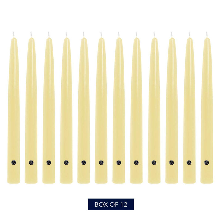 Colonial Candle Unscented Taper Candle, Handipt Collection, Limoncello, 12 in, Pack of 12 - Up to 10 Hours Burn