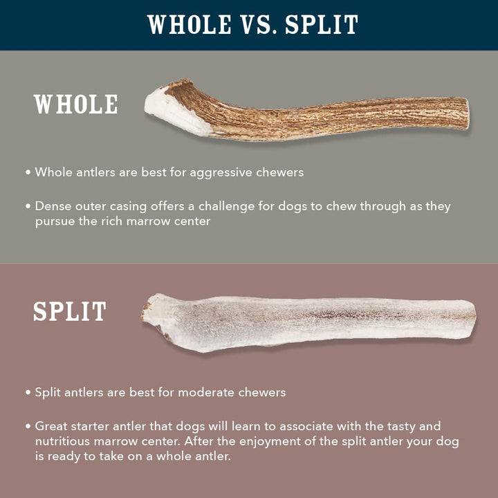 Wag Split Elk Antler, Naturally Shed, Medium (Best for Dogs 15-30 lbs) 2.4 Ounce (Pack of 1)