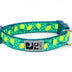 RC Pets 1 Inch Adjustable Dog Clip Collar, Medium, Lemonade M (Neck: 12"-20", Strap Width: 1")
