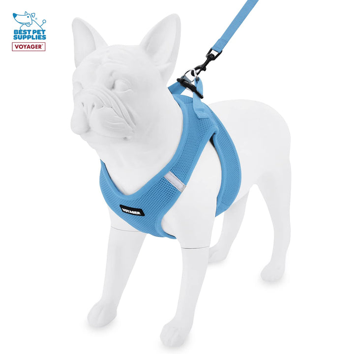 Voyager Step-in Air All Weather Mesh Harness and Reflective Dog 5 ft Leash Combo with Neoprene Handle, for Small, Medium and Large Breed Puppies by Best Pet Supplies - Blue, Large L (Chest: 18 - 20.5") Leash Harness Set (Baby Blue Base)