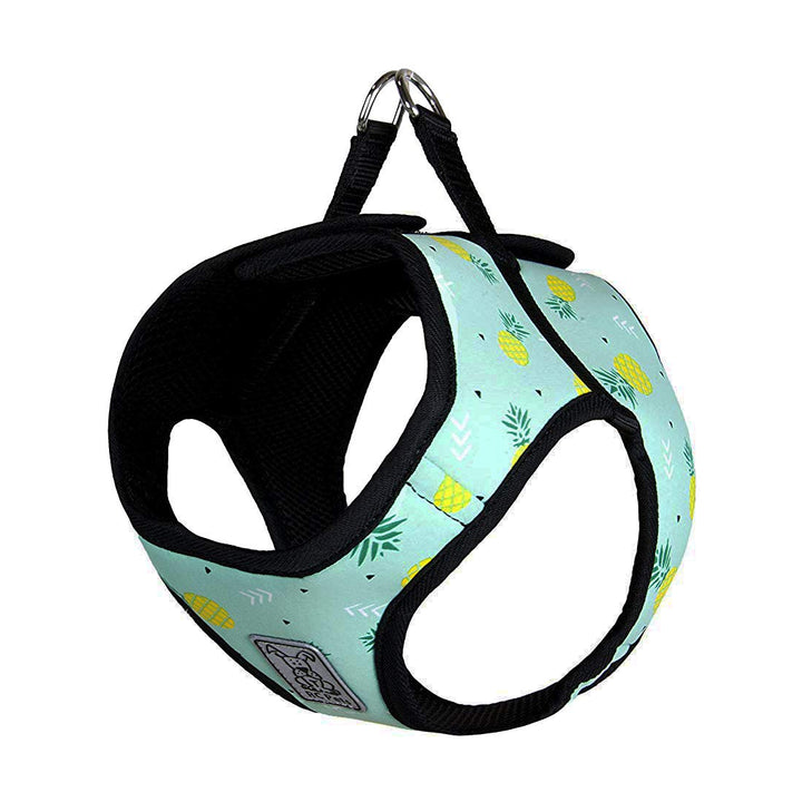 RC Pet Products Cirque Soft Walking Step-in Dog Harness, Pineapple Parade, X-Small XSmall