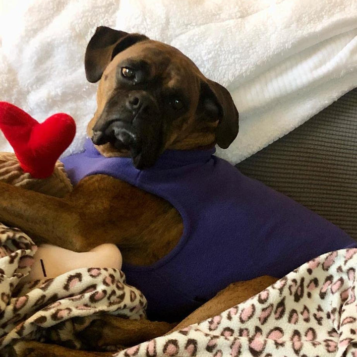 Gooby Stretch Fleece Vest Dog Sweater - Violet, 3X-Large - Warm Pullover Fleece Dog Jacket - Winter Dog Clothes for Small Dogs Boy or Girl - Dog Sweaters for Small Dogs to Dog Sweaters for Large Dogs