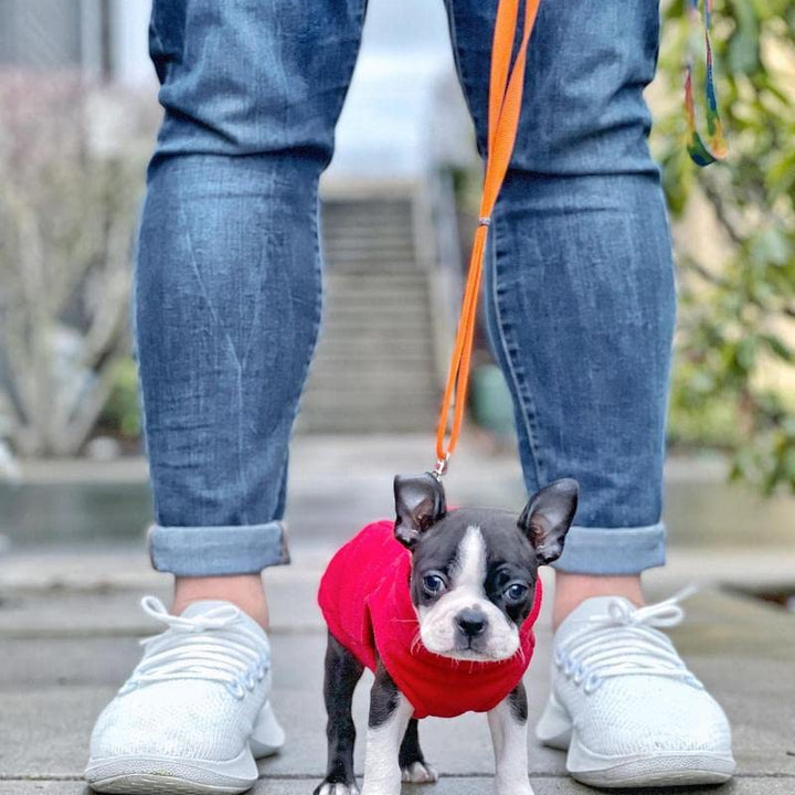 Gooby Stretch Fleece Vest Dog Sweater - Red, Medium - Warm Pullover Fleece Dog Jacket - Winter Dog Clothes for Small Dogs Boy or Girl - Dog Sweaters for Small Dogs to Dog Sweaters for Large Dogs Medium Length (11.5")