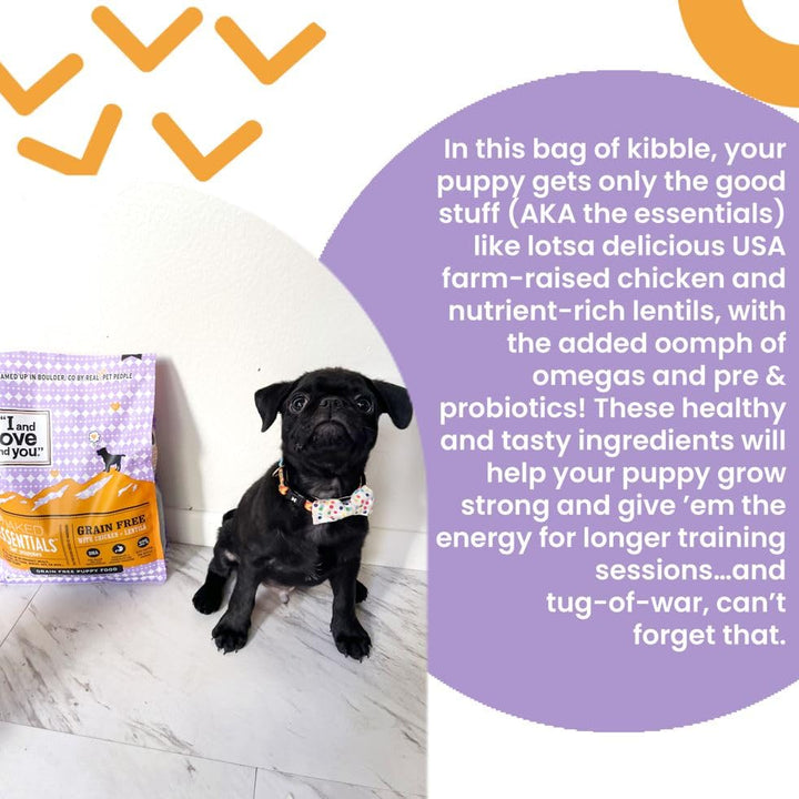 I and love and you Naked Essentials Dry Dog Food for Puppies - Chicken + Lentils - High Protein, Real Meat, No Fillers, Prebiotics + Probiotics, 4lb Bag 4 Pound (Pack of 1)