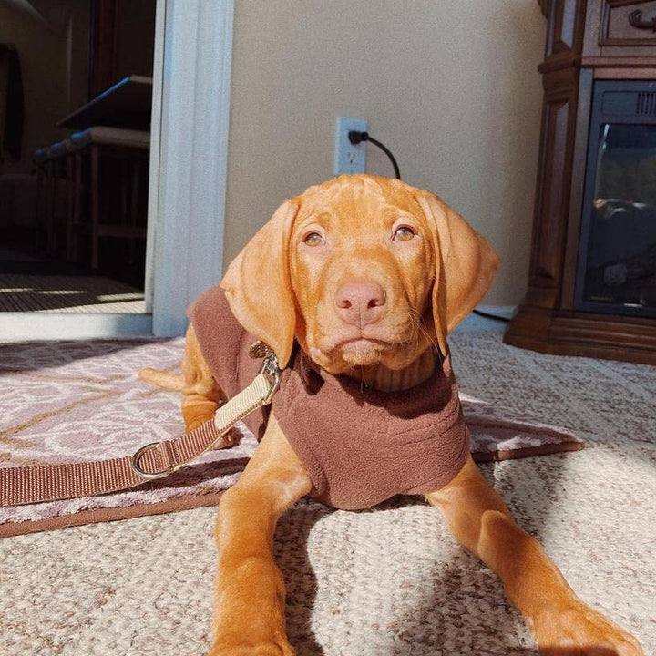Gooby Stretch Fleece Vest Dog Sweater - Brown, Large - Warm Pullover Fleece Dog Jacket - Winter Dog Clothes for Small Dogs Boy or Girl - Dog Sweaters for Small Dogs to Dog Sweaters for Large Dogs