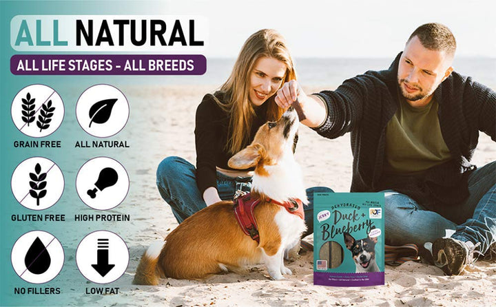 Premium Dog Treats | 100% Human Grade | USA Made | Grain Free | Duck and Blueberry 12 oz. Duck & Blueberry 12 Ounce (Pack of 1)