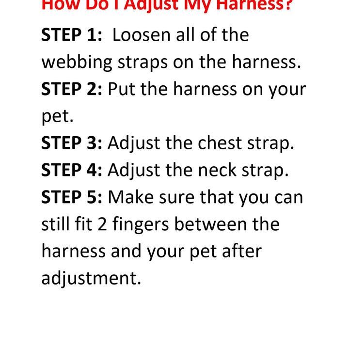 Voyager Step-in Lock Dog Harness w Reflective Dog Leash Combo Set with Neoprene Handle 5ft - Supports Small, Medium and Large Breed Puppies/Cats by Best Pet Supplies - Turquoise, XS Harness Leash Set (Turquoise) XS (Chest: 13 - 16" * Fit Cats)