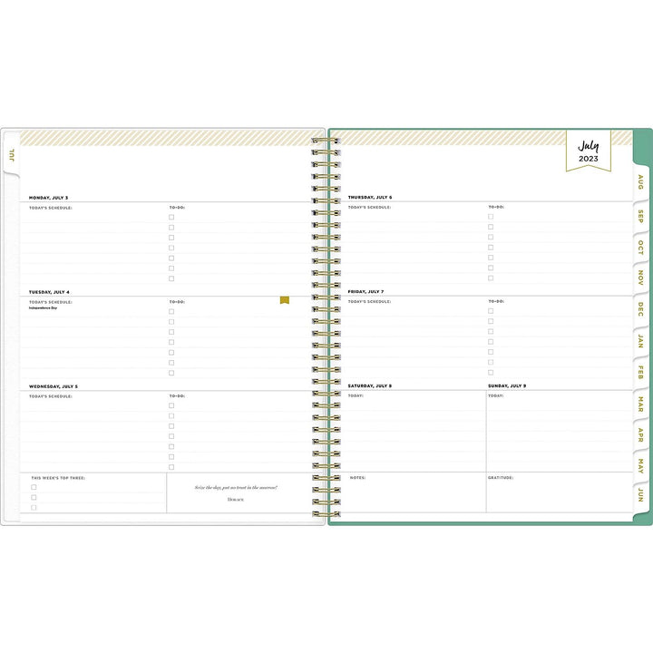 Blue Sky Day Designer for 2023-2024 Academic Year Weekly and Monthly Planner, 8.5' x 11', Frosted Flexible Cover, Wirebound, Palms (137891-A24) Old Version