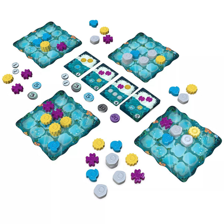 Asmodee Reef Board Game: Second Edition