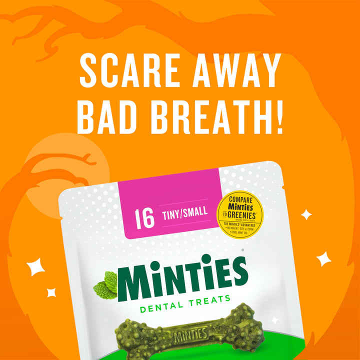 Minties Dental Chews for Dogs, 120 Count, Vet-Recommended Mint-Flavored Dental Treats for Tiny/Small Dogs 5-24 lbs, Dental Bones Clean Teeth, Fight Bad Breath, and Removes Plaque and Tartar Small Mint 48 Ounces