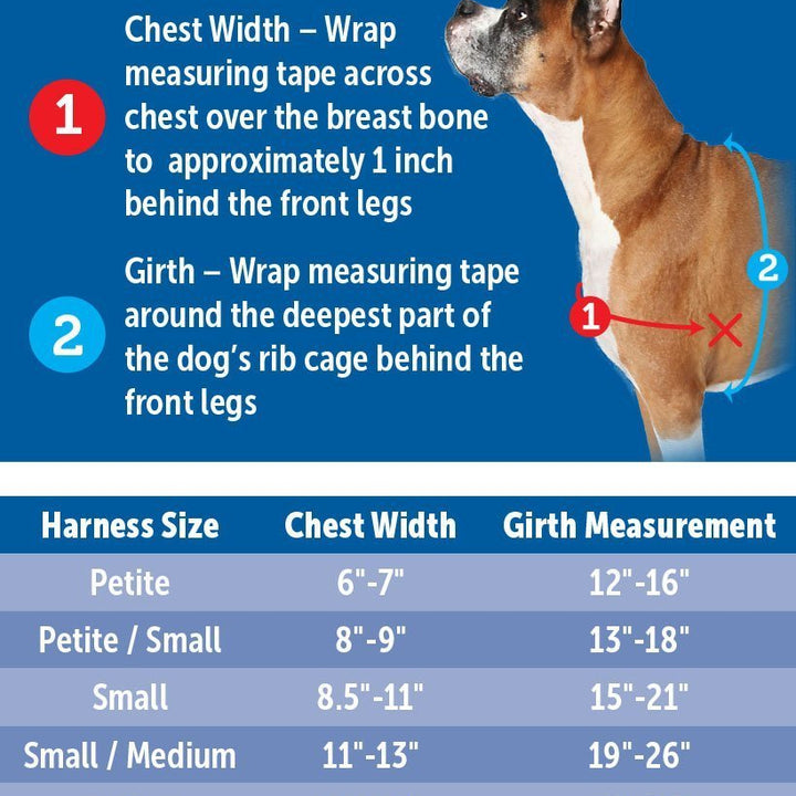 PetSafe Easy Walk No-Pull Dog Harness - The Ultimate Harness to Help Stop Pulling - Take Control & Teach Better Leash Manners - Helps Prevent Pets Pulling on Walks - Small, Royal Blue/Navy Blue