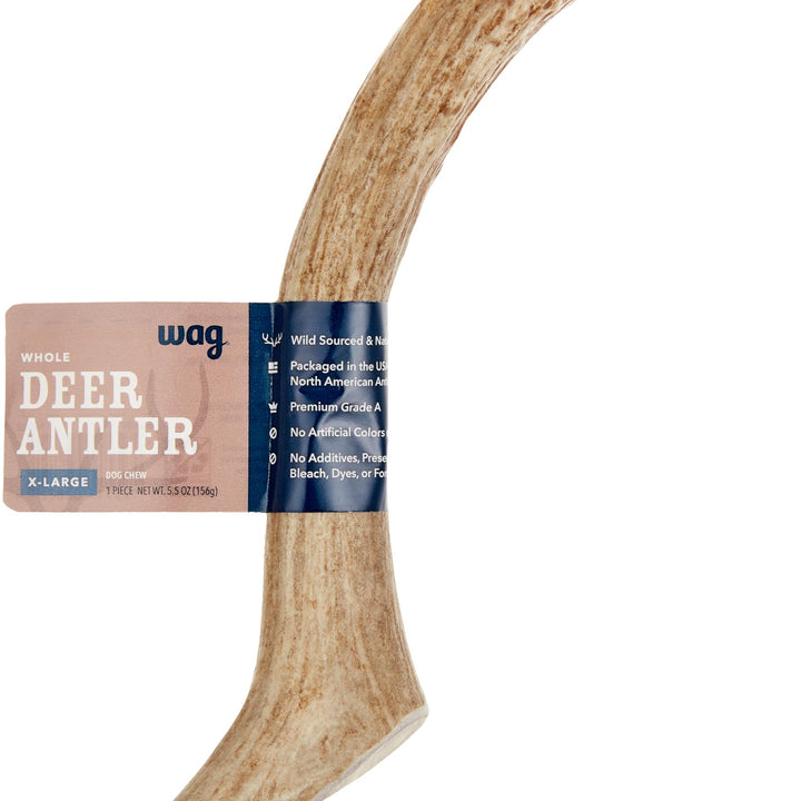 Wag Dog Deer Antler Chew, Naturally Shed, Whole, 9–10.5 inches, X-Large (Best for Dogs over 45 lbs) 5.5 Ounce (Pack of 1)