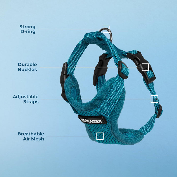 Voyager Step-in Lock Pet Harness - All Weather Mesh, Adjustable Step in Harness for Cats and Dogs by Best Pet Supplies - Turquoise, XS Harness (Turquoise) XS (Chest: 13 - 16")