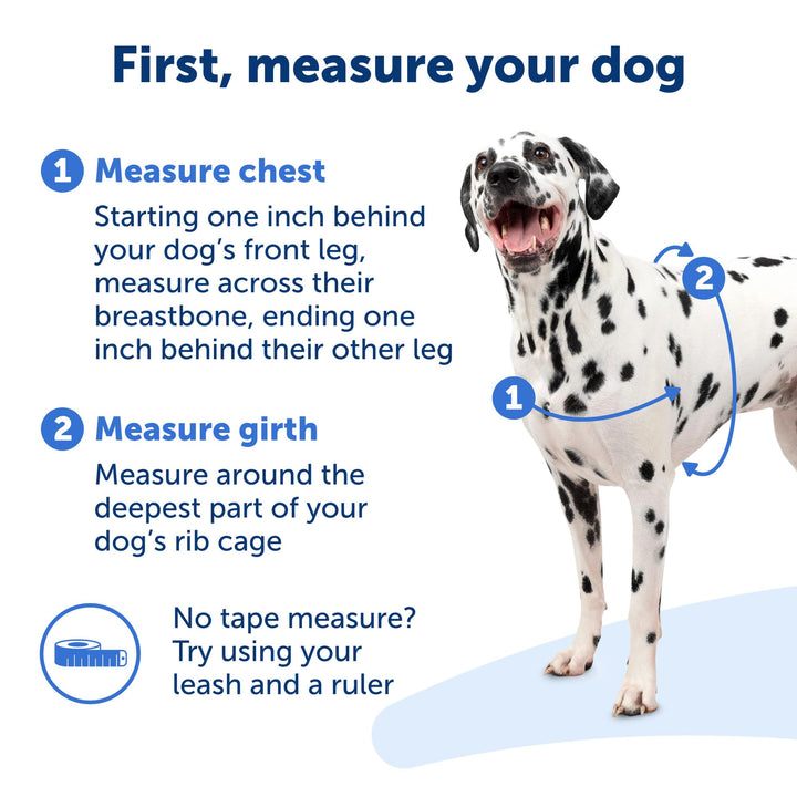 PetSafe Easy Walk No-Pull Dog Harness - The Ultimate Harness to Help Stop Pulling - Take Control & Teach Better Leash Manners - Helps Prevent Pets Pulling on Walks - Small, Raspberry/Gray