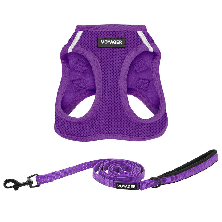 Voyager Step-in Air All Weather Mesh Harness and Reflective Dog 5 ft Leash Combo with Neoprene Handle, for Small, Medium and Large Breed Puppies by Best Pet Supplies - Set (Purple), L Harness Leash Set (Purple) L (Chest: 18 - 20.5")