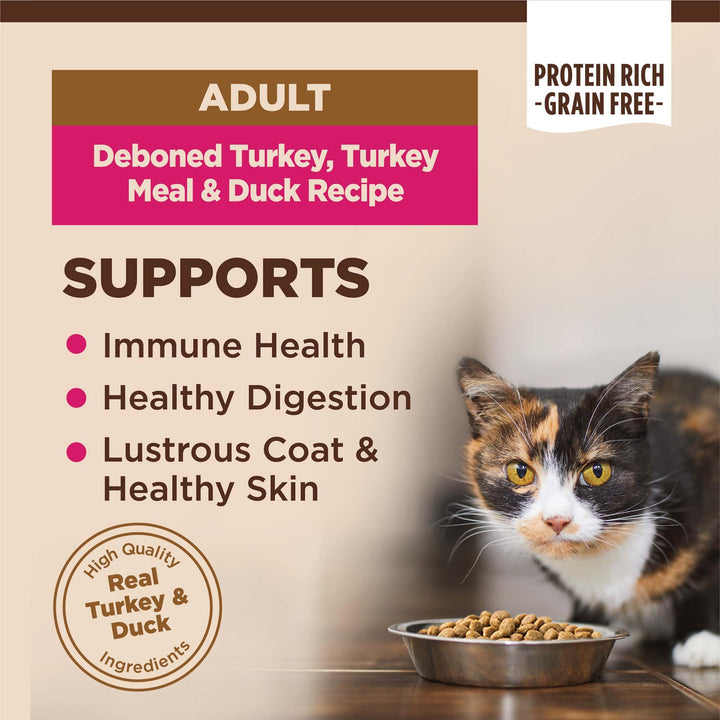 Wellness CORE Natural Grain-Free High Protein Adult Dry Cat Food Recipe, Turkey, Turkey Meal and Duck Formula, 11 Pound Bag 11 Pound (Pack of 1)