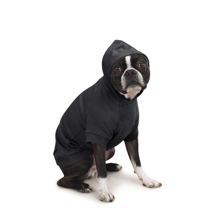 Zack & Zoey Basic Hoodie for Dogs, 24" X-Large, Jet Black XL (Neck: 22", Girth: 34", Back: 24")