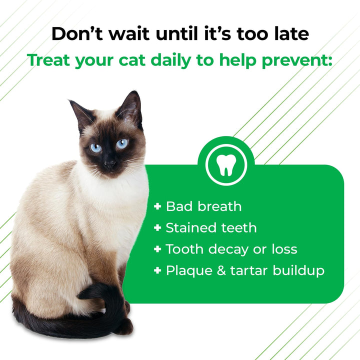 VetriScience Perio Plus Cat Teeth Cleaning Bites - Advanced Cat Breath Freshener - Dual Action Cat Dental Care Formula for Plaque Control & Fresh Breath, 60 Chews, Chicken Flavor 60 Count (Pack of 1)