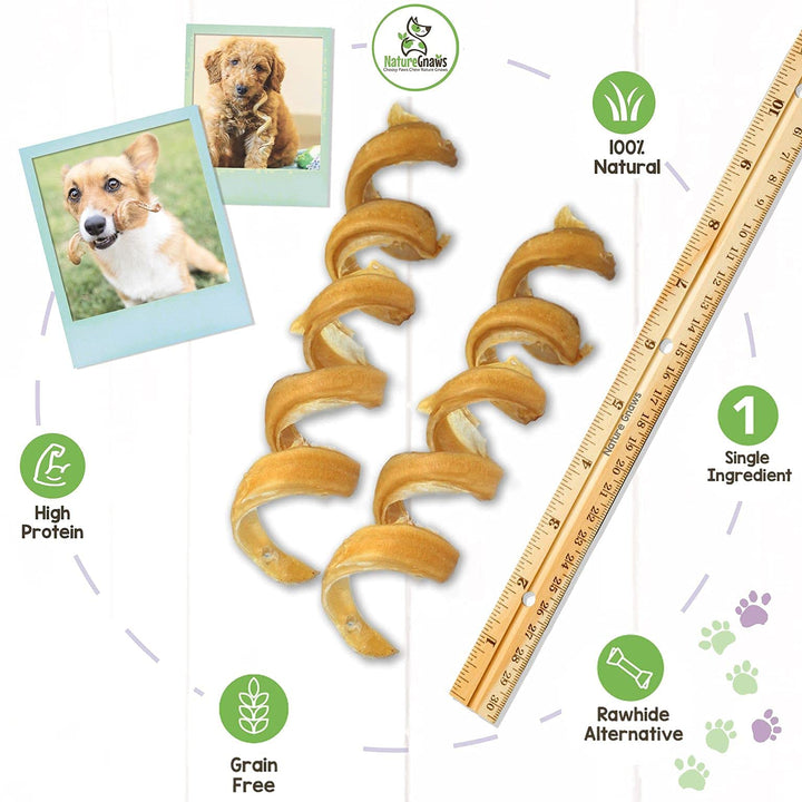 Nature Gnaws Bully Stick Springs for Dogs - Premium Natural Beef Dental Bones - Long Lasting Curly Dog Chew Treats for Aggressive Chewers - Rawhide Free 12 Count (Pack of 1) 12 Count (Pack of 1)
