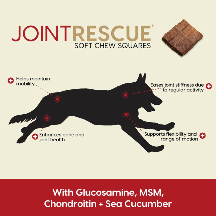 Ark Naturals Joint Rescue Dog Chew, Beef Flavor, Joint Supplement with Glucosamine & Chondroitin, 1 Pack 9 Ounce (Pack of 1)