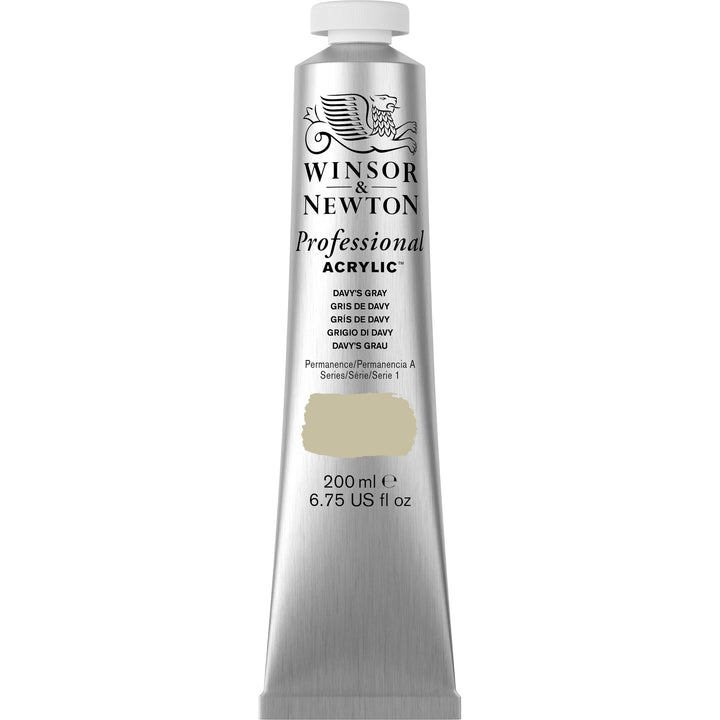 Winsor & Newton Professional Acrylic Paint, 200ml (6.75-oz) Tube, Davy's Gray 6.75-oz Tube