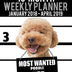 2018-2019 Weekly Planner - Most Wanted Poodle: Daily Diary Monthly Yearly Calendar Large 8.5" x 11" Schedule Journal Organizer (Dog Planners 2018-2019)