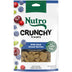 NUTRO Crunchy Dog Treats with Real Mixed Berries, 10 oz. Bag 10 Ounce (Pack of 1)