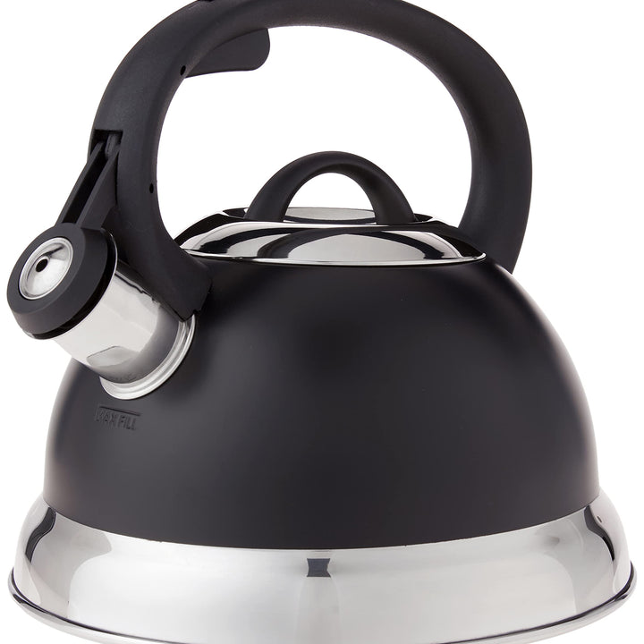 Mr. Coffee Flintshire Stainless Steel Whistling Tea Kettle W/Nylon Handle, 1.75-Quart, Matte Black