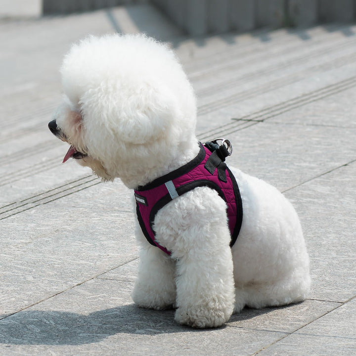 Voyager Step-In Plush Dog Harness – Soft Plush, Step In Vest Harness for Small and Medium Dogs by Best Pet Supplies - Harness (Red Rose Plush), XL (Chest: 20.5 - 23") Harness (Red Rose Plush) XL (Chest: 20.5 - 23")